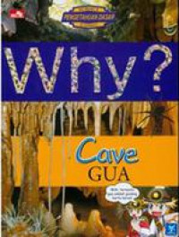 WHY? Cave