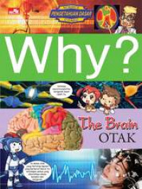 WHY? The Brain